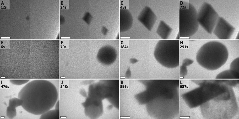 Concurrent formation of multiple phases. All scale bars are 500nm. Image courtesy of M.H. Nielson et al. Copyright © 2014, American Association for the Advancement of Science.