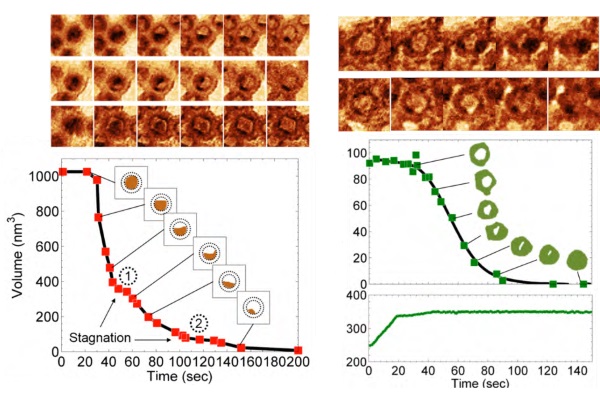 Images courtesy of Dr. Huolin Xin and Dr. Haimei Zheng (Lawrence Berkeley National Laboratory). Copyright @2013 Cambridge University Press.