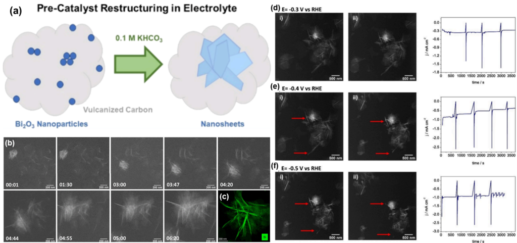 Bi2O3 catalysts restructure into Bi nanosheets in the presence of ...