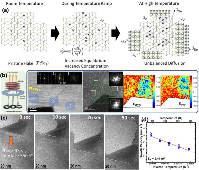 Diffusion And Phase Transformations At 1D Interfaces Studied In 2D ...