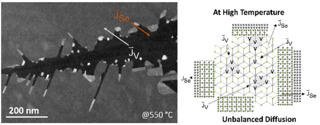 Characterizing High-temperature Phase Transitions In 2D Layers Of PtSe2 ...