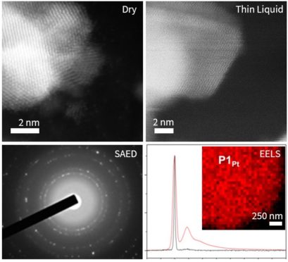In-situ TEM lattice resolution imaging and quantitative spectroscopy in ...