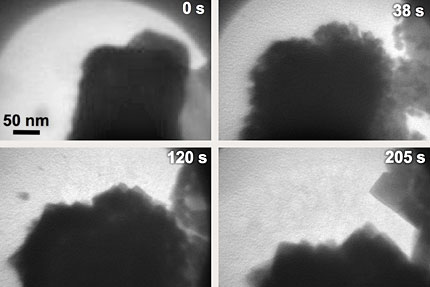 Nucleation_of_CaCO3_on_Au_in_Hummingbird_Scientific_Liquid_Flow_TEM_Holder